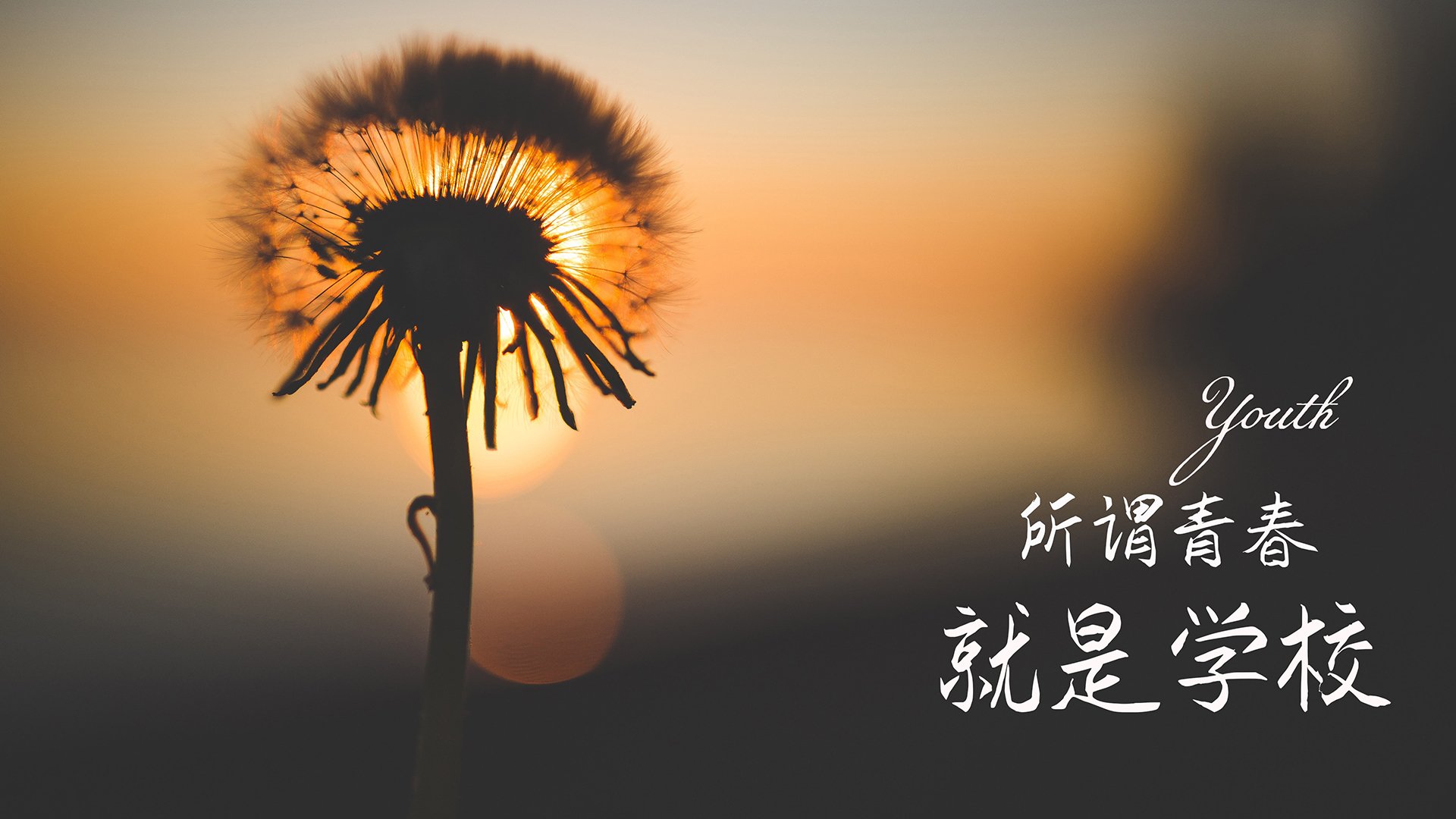 _女子网球排名最新公布，局势再度激烈变化_，女子网球世界排名榜