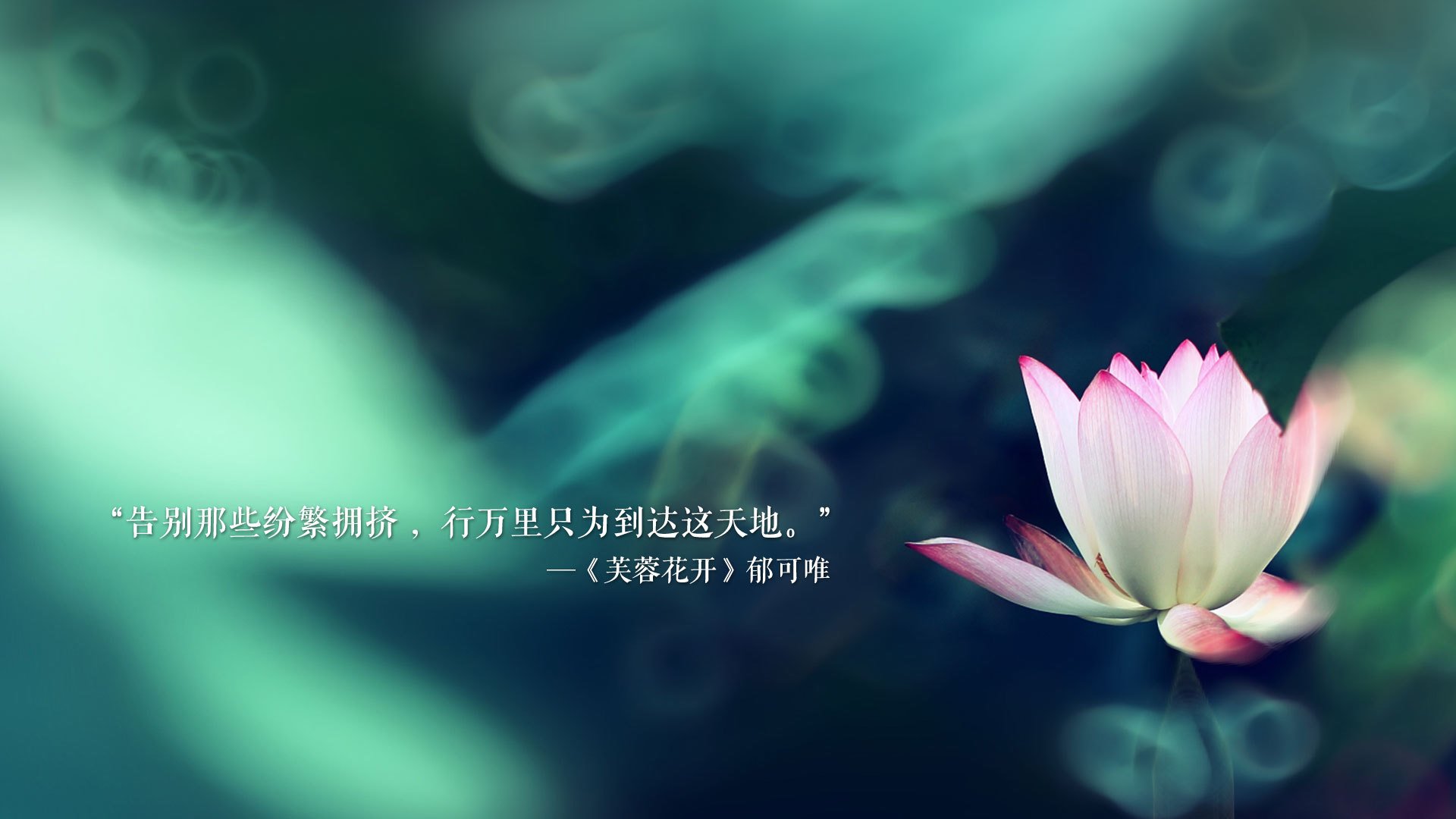_高山云端：在雪山之巅进行的特殊赛事_，高山云层