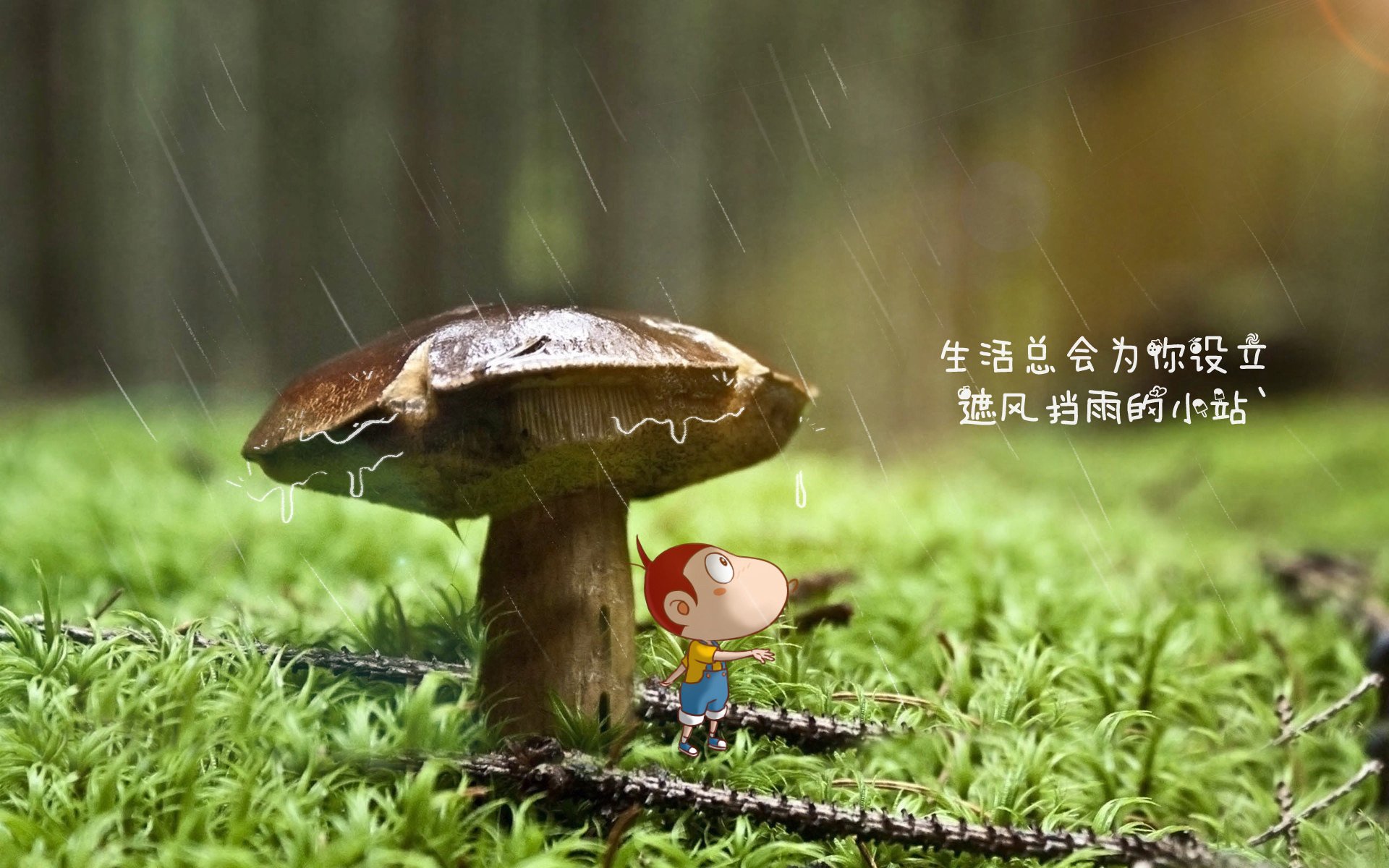 kaiyun官方网站-俱乐部青训是否存在短视功利化问题，俱乐部青训有工资吗