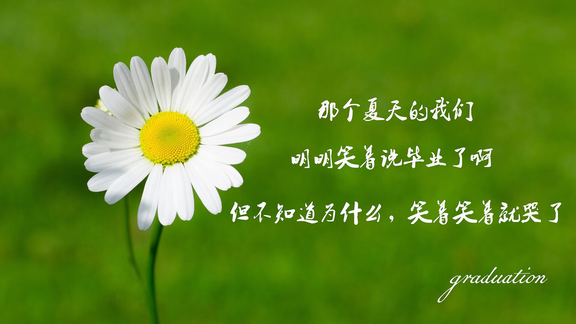 Kaiyun APP-墨西哥马术队在巴黎奥运会三项赛中获得第七名，表现稳健。，墨西哥马拉松运动员