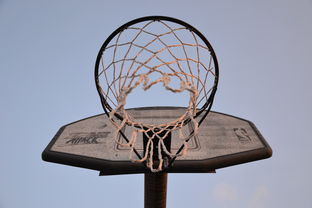 开云中国大陆-NBA联盟与高校篮球合作开发机制研究，大学篮球联盟叫什么