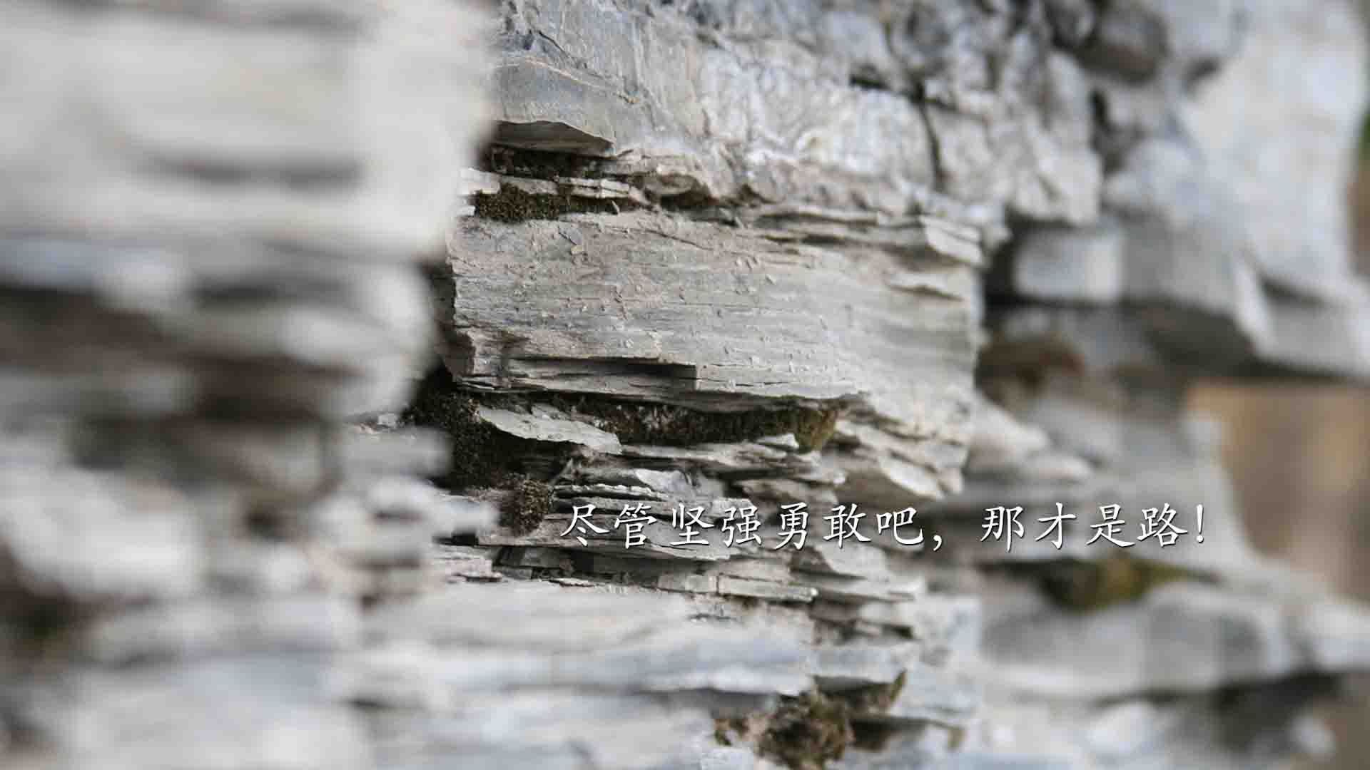 体育赛事对城市居民幸福感影响因素研究，体育赛事对城市旅游业的影响论文