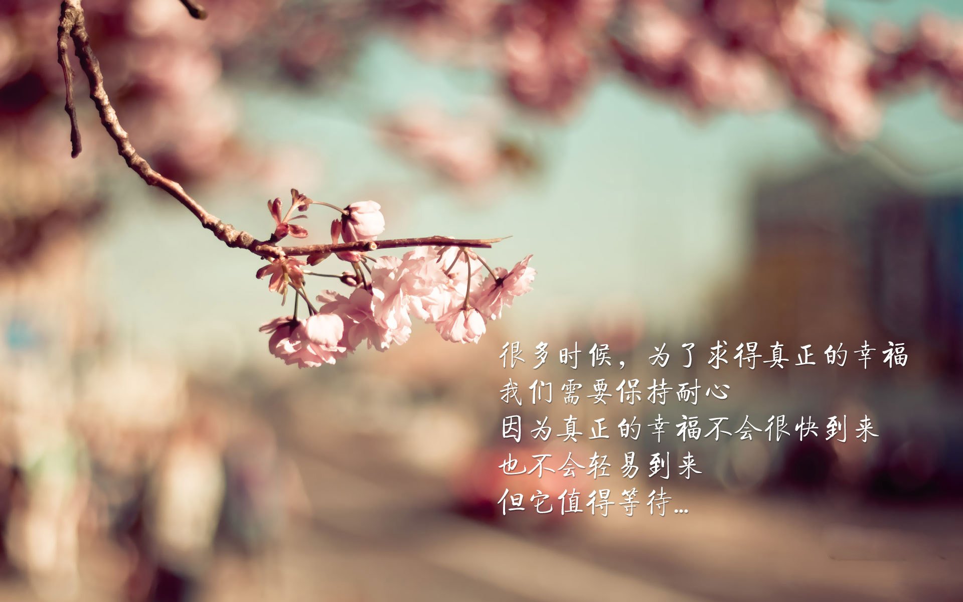 全国青少年射箭锦标赛精彩纷呈，群雄逐鹿，全国青少年射箭比赛