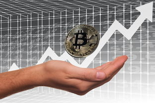 开云kaiyun-英超俱乐部母公司上市路径与股价波动分析，英超俱乐部投入