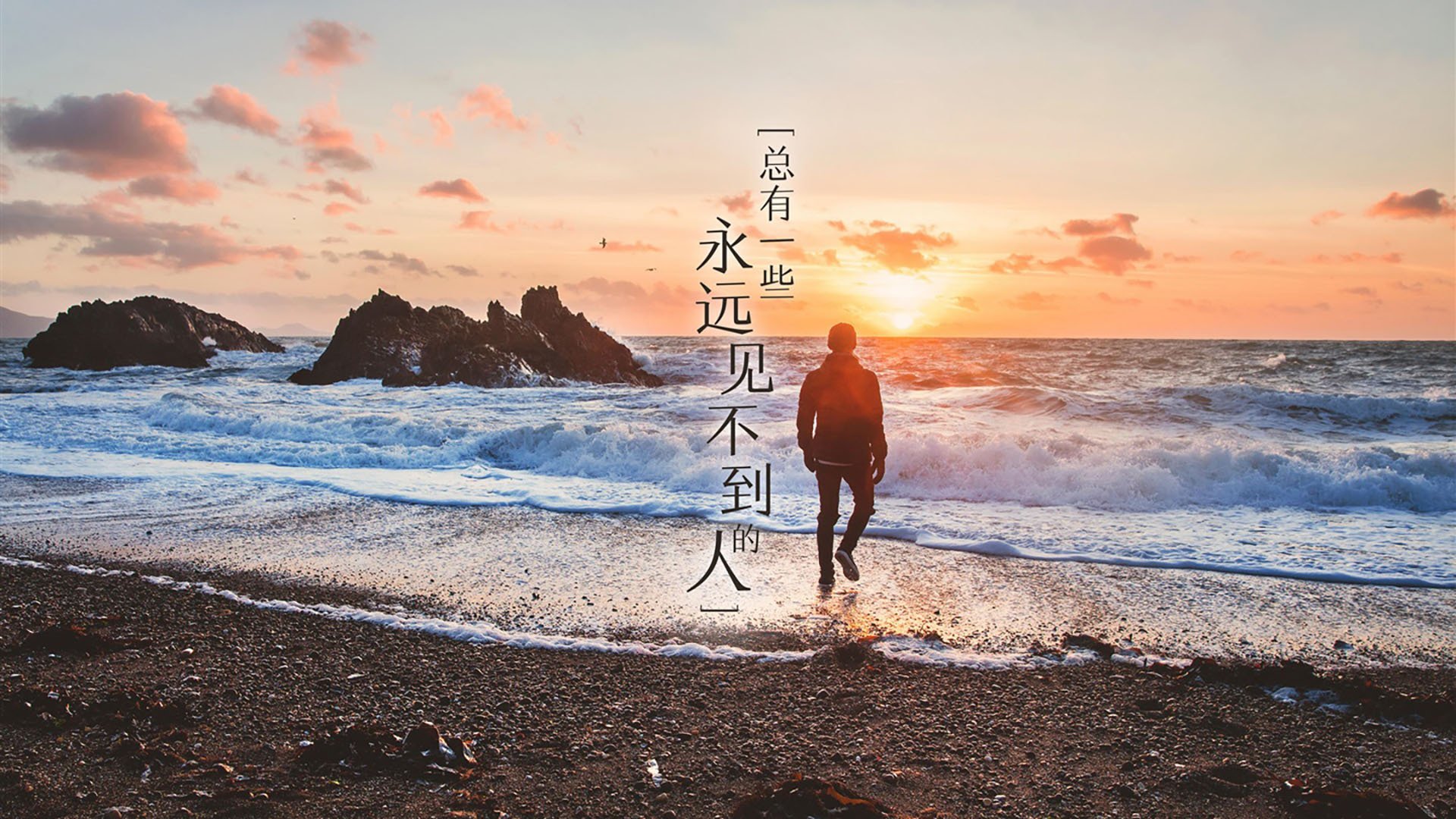 蝶泳冠军划频控制力领先世界，蝶泳划手视频